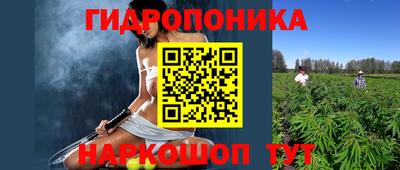 гашик Камышлов