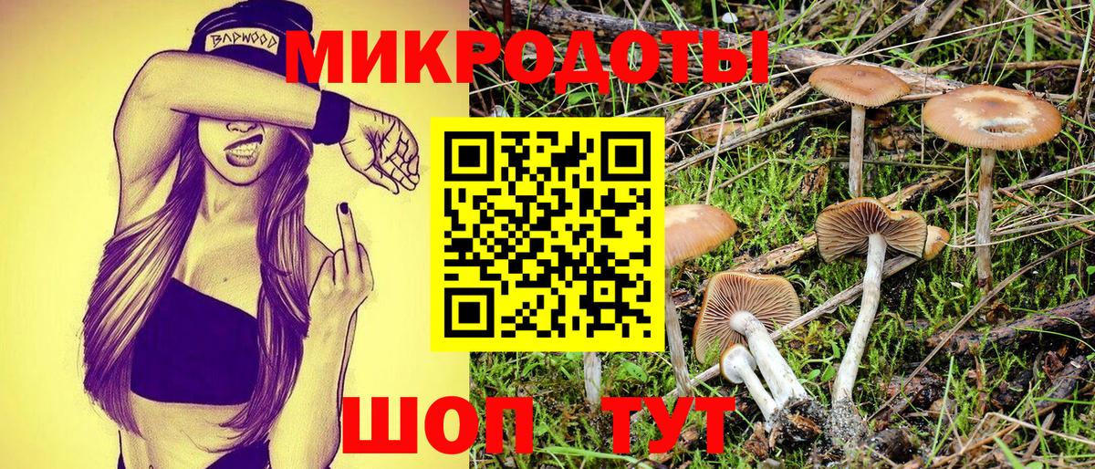 Кропоткин  Псилоцибиновые грибы Magic Shrooms  Вход с VPN  Псилоцибиновые грибы Psilocybine cubensis 